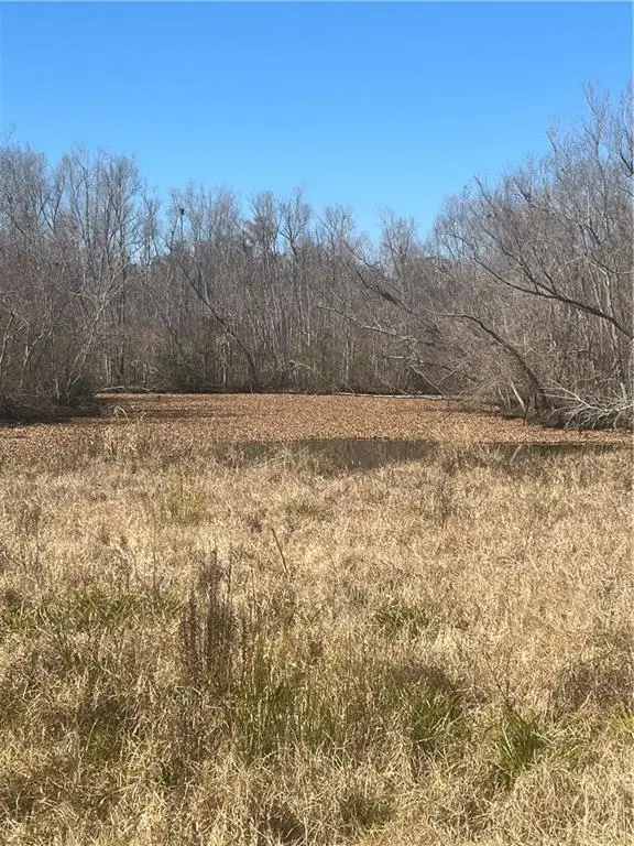 161 Tahiti Trail, Vacherie, LA 70090