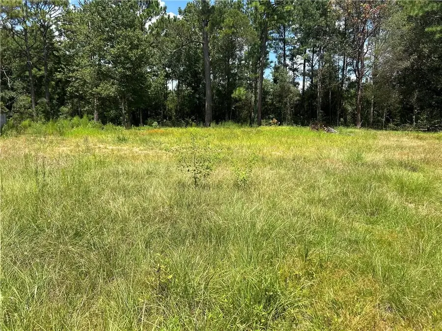 15413 Karrie Lane, Covington, LA 70435 - #2