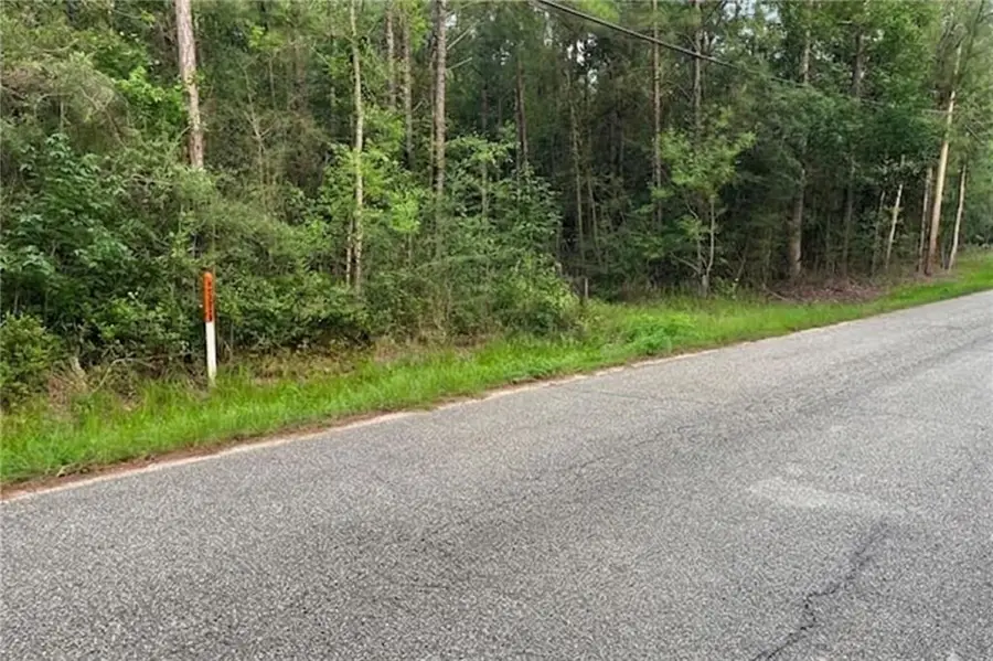 N Mill Road, Lacombe, LA 70445 - #3
