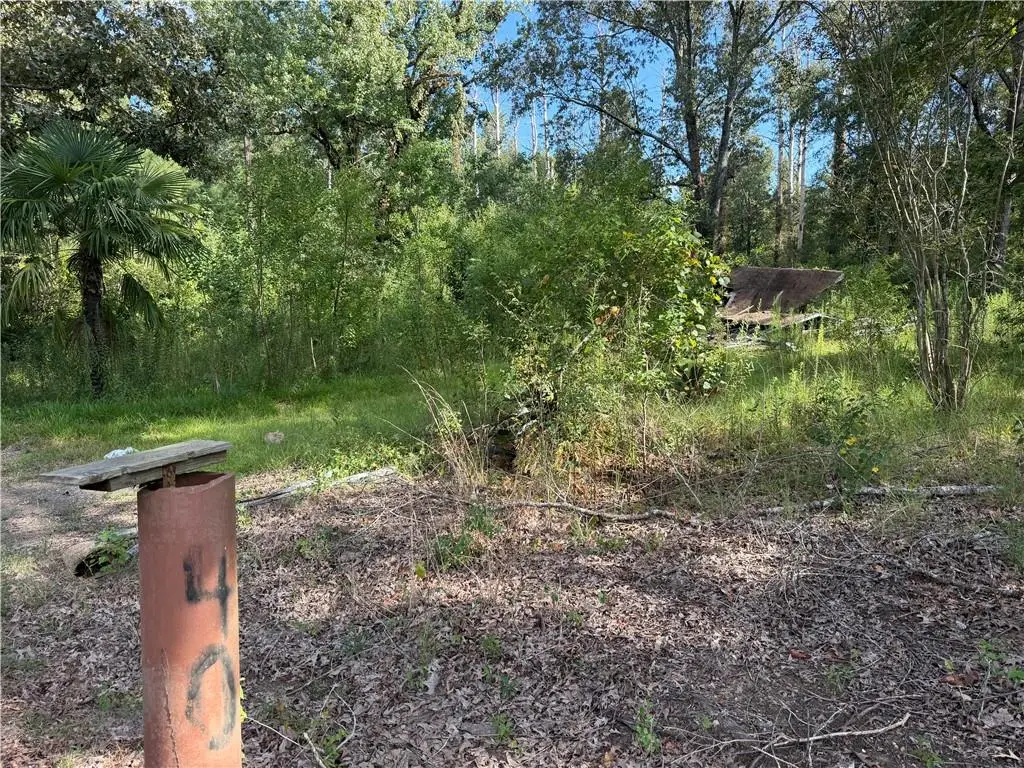 40 Lee Reeves Road, Deville, LA 71328 - #1