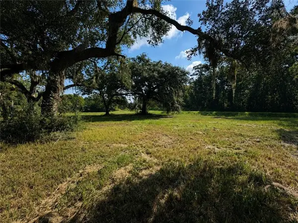 Mandane Drive, Lacombe, LA 70445