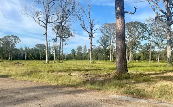 TBD4 Bethel Road, Deville, LA 71328
