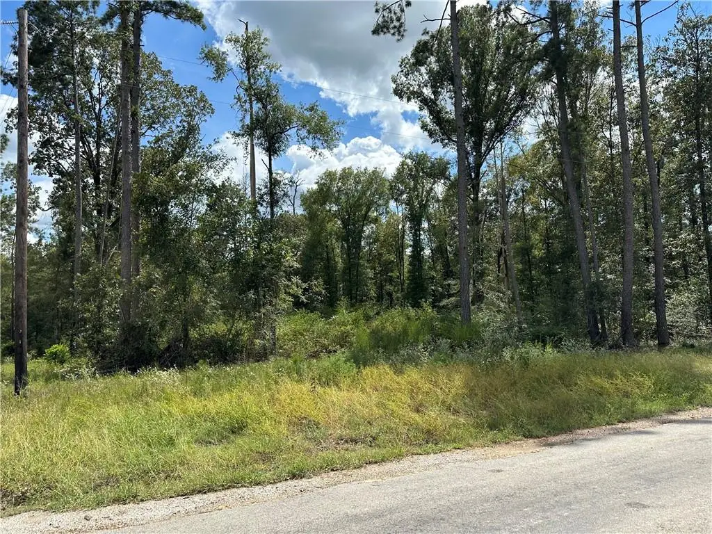TBD1 Bethel Road, Deville, LA 71328 - #1