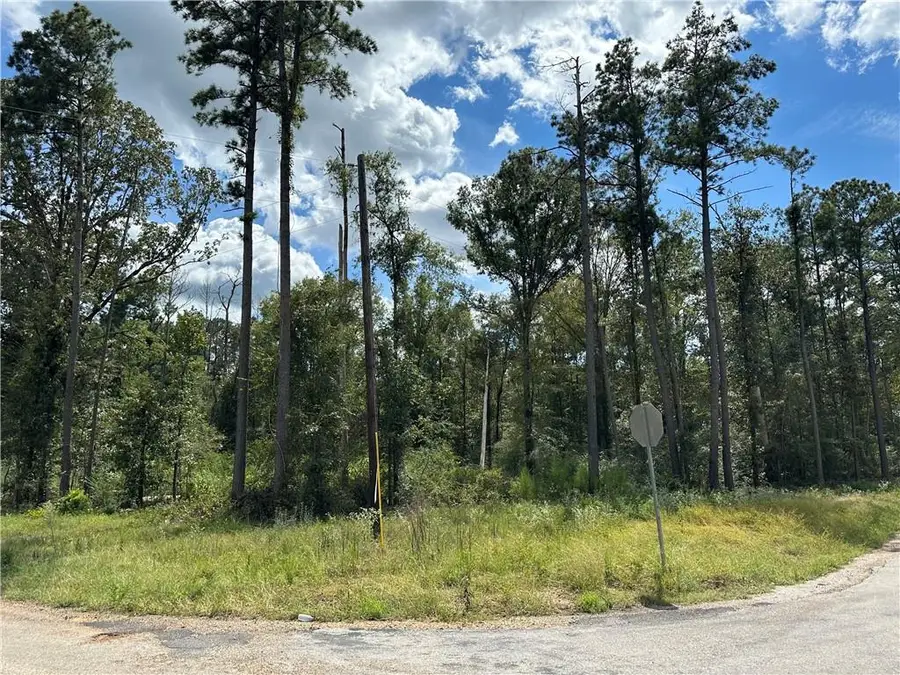 TBD1 Bethel Road, Deville, LA 71328 - #2