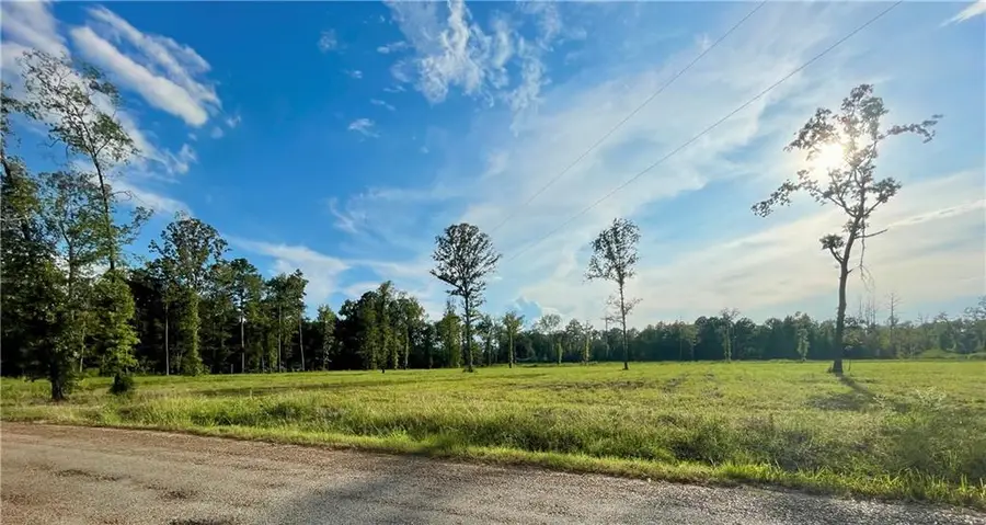 TBD2 Bethel Road, Deville, LA 71328 - #2