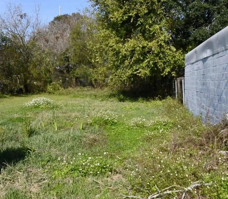 3009 N Rocheblave Street, New Orleans, LA 70117 - #1