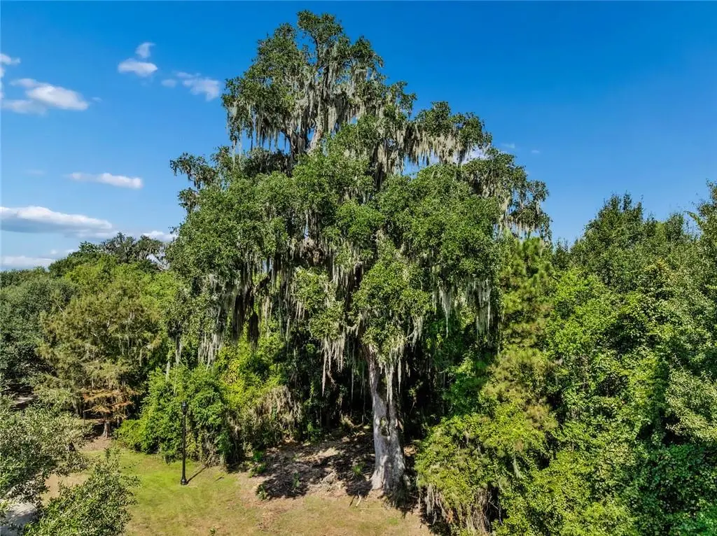 15 Preserve Lane, Mandeville, LA 70471 - #1
