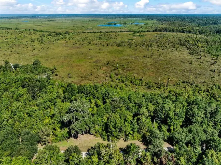15 Preserve Lane, Mandeville, LA 70471 - #3