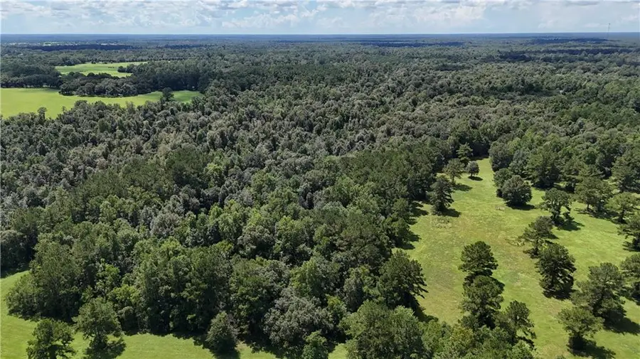 21258 Wallace King Road, Bush, LA 70431 - #2