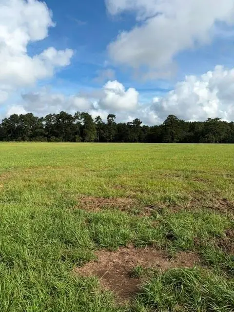 La Tung Road, Covington, LA 70435 - #2