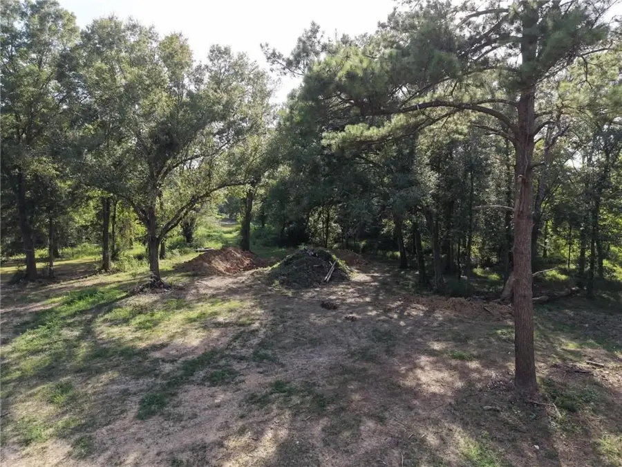 26341 S Satsuma Road, Livingston, LA 70754 - #2