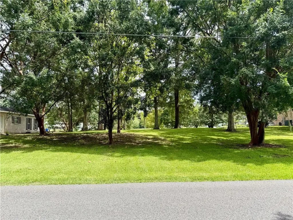 13304 Bayou Terrace Drive, Saint Amant, LA 70774 - #1