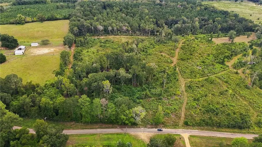 Centerville Road, Tylertown, MS 39667 - #3