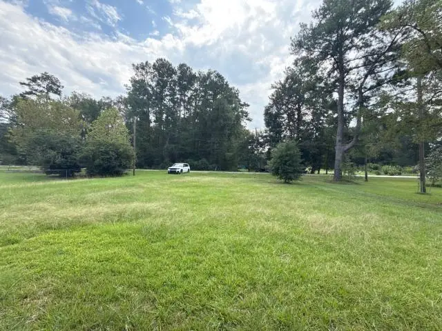 48183 Laura Rogers Road, Tickfaw, LA 70466 - #3