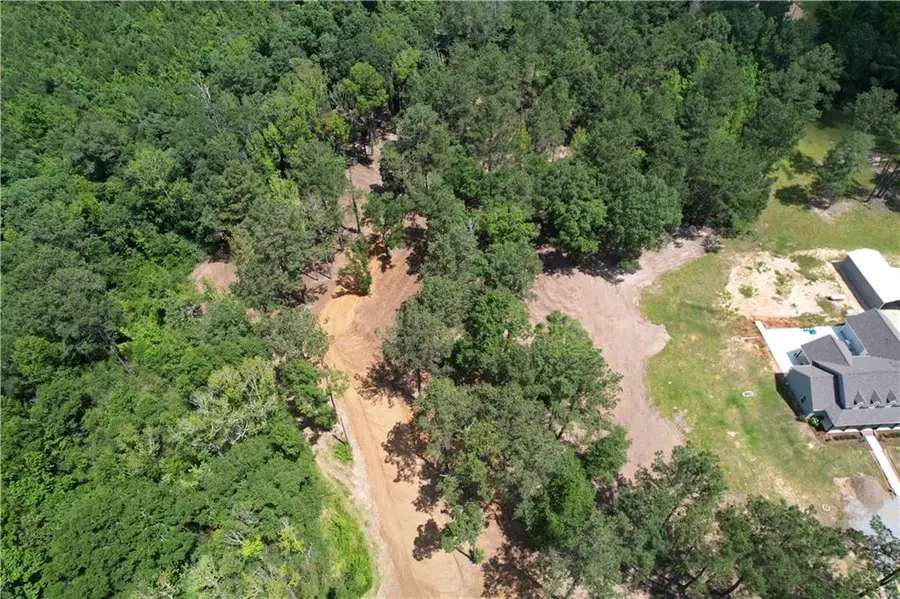 TR. M-1-A-1 Hidden Hills Drive, Franklinton, LA 70438 - #3
