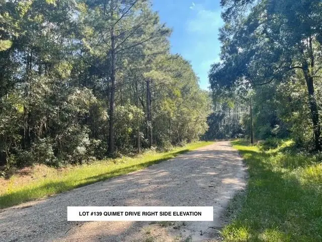 Lot #139 Quimet Drive, Abita Springs, LA 70420 - #2