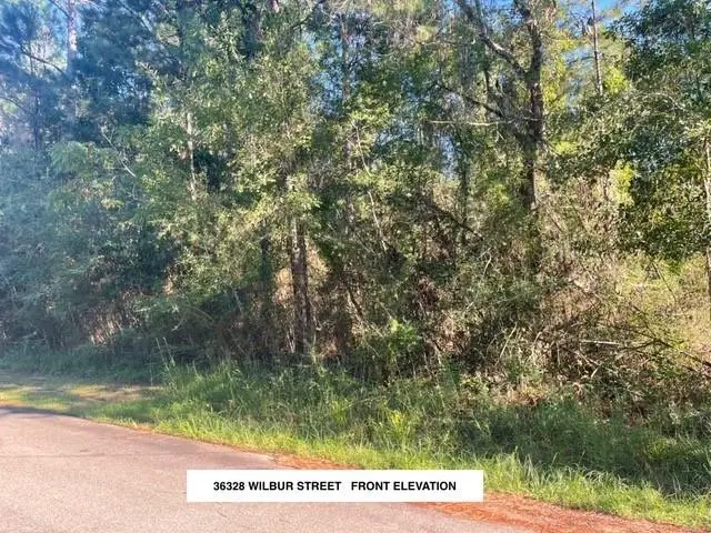 36328 Wilbur Street, Slidell, LA 70460 - #1