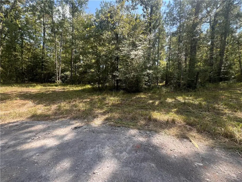 11120 Hwy 28 W Highway, Boyce, LA 71409 - #1