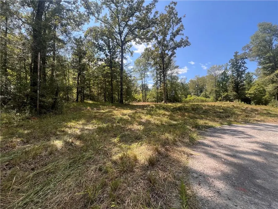 11120 Hwy 28 W Highway, Boyce, LA 71409 - #2
