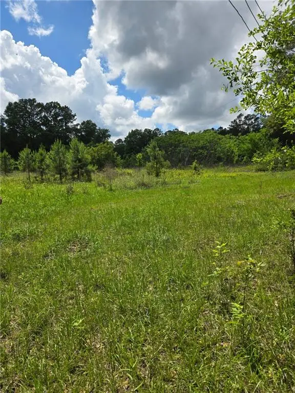 21340 N Taylor Road, Bush, LA 70431 - #1