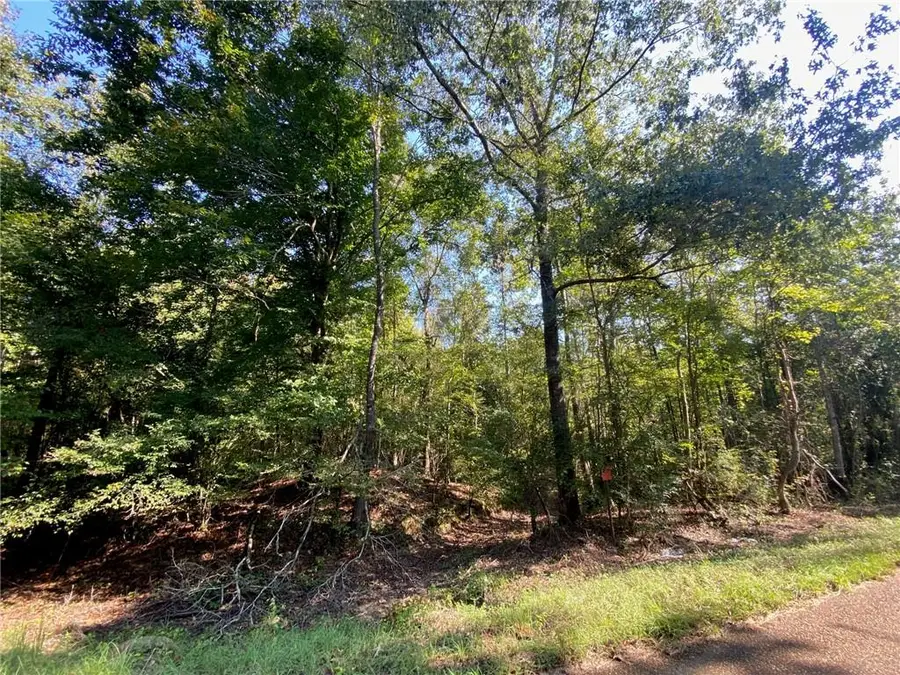 00 Jeremy Road, Olla, LA 71465 - #3