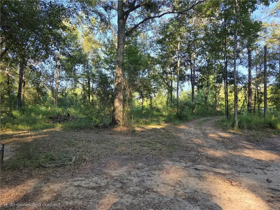 22310 440 Highway, Kentwood, LA 70444 - #2