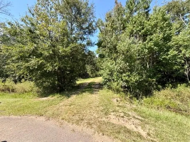 22327 Quail Hollow Road, Loranger, LA 70446 - #3