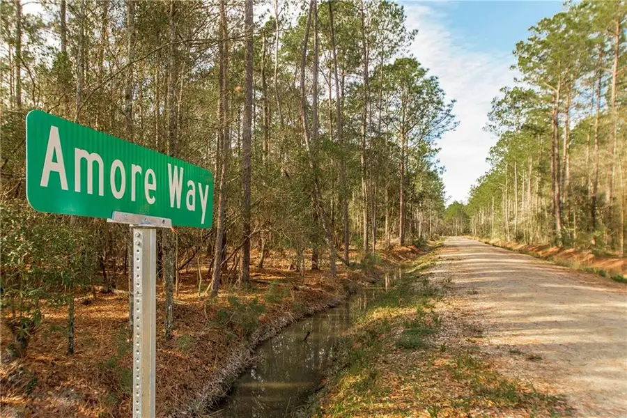 18382 Amore Way, Covington, LA 70435 - #3