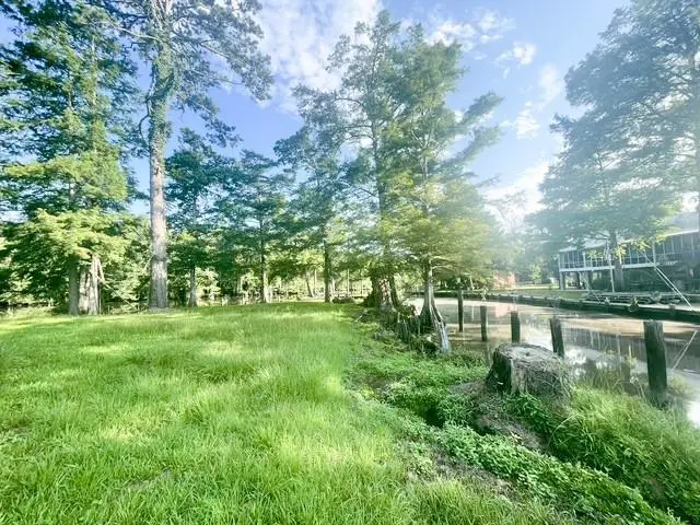 20194 Lacox Lane, Springfield, LA 70462 - #2