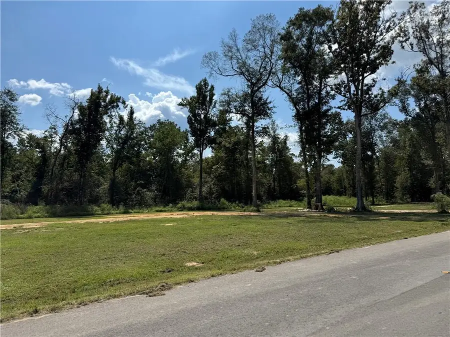 29446 Linda's Haven Road, Springfield, LA 70462 - #2