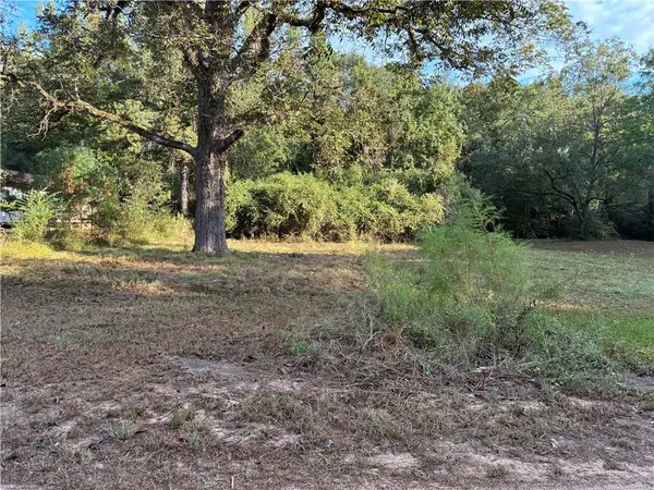 0 Maines Loop, Goldonna, LA 71031