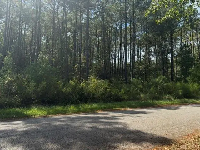 A-3 Robertson Loop Road, Pollock, LA 71467 - #1