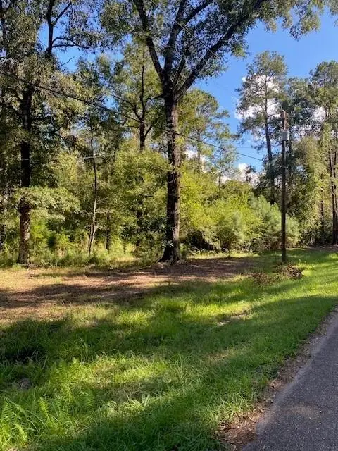 56 Park Lane, Folsom, LA 70437