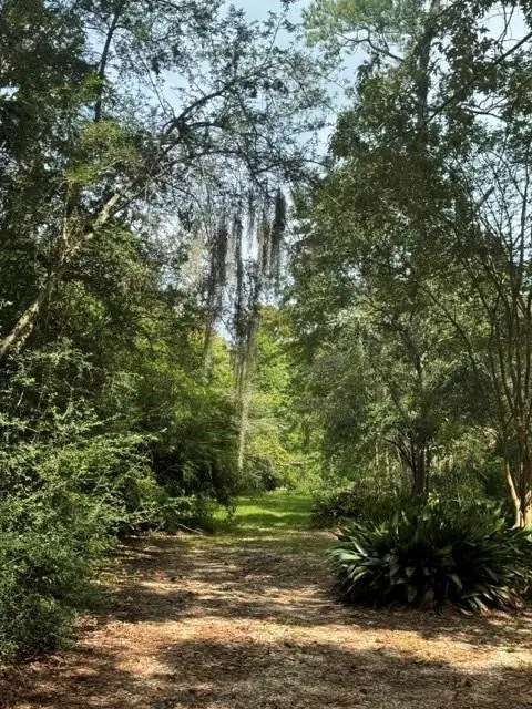 707 Copal Street, Mandeville, LA 70448 - #3