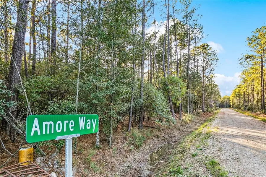 18383 Amore Way, Covington, LA 70435 - #2