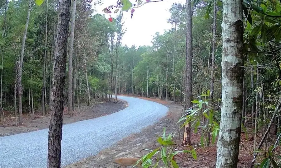 Parcel 4-B Loblolly Ridge Drive, Folsom, LA 70437 - #2