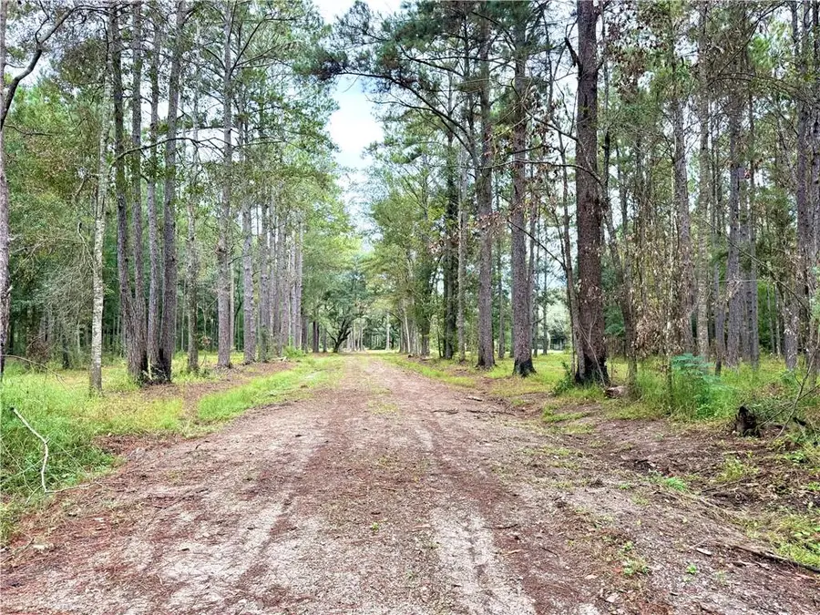 37285 Dummyline Road, Pearl River, LA 70452 - #3