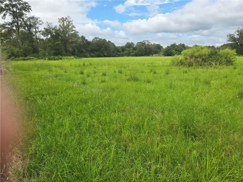 Highway 1065, Tickfaw, LA 70466 - #1