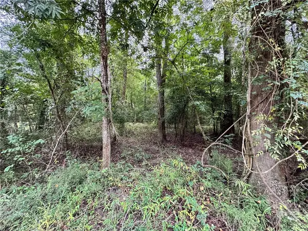 Lot 19 Pushepatappa Cut Off Road, Bogalusa, LA 70427