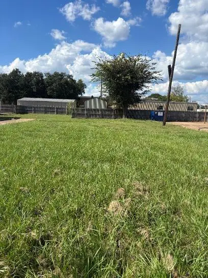 1720 Albert Street, Alexandria, LA 71301
