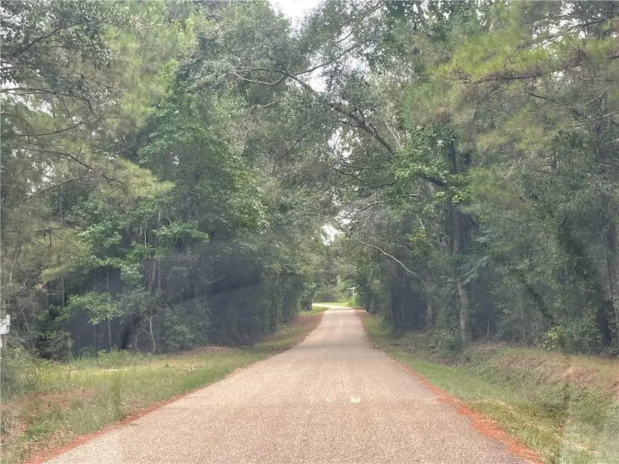 86419 Mockingbird Hill Road, Franklinton, LA 70438 - #3