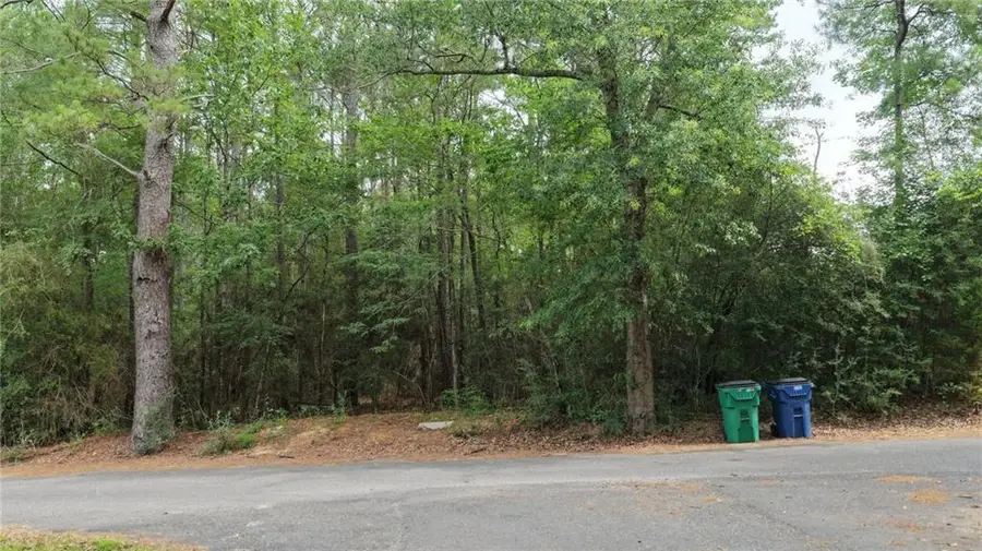 TBD Loftin Road, Coushatta, LA 71019 - #2