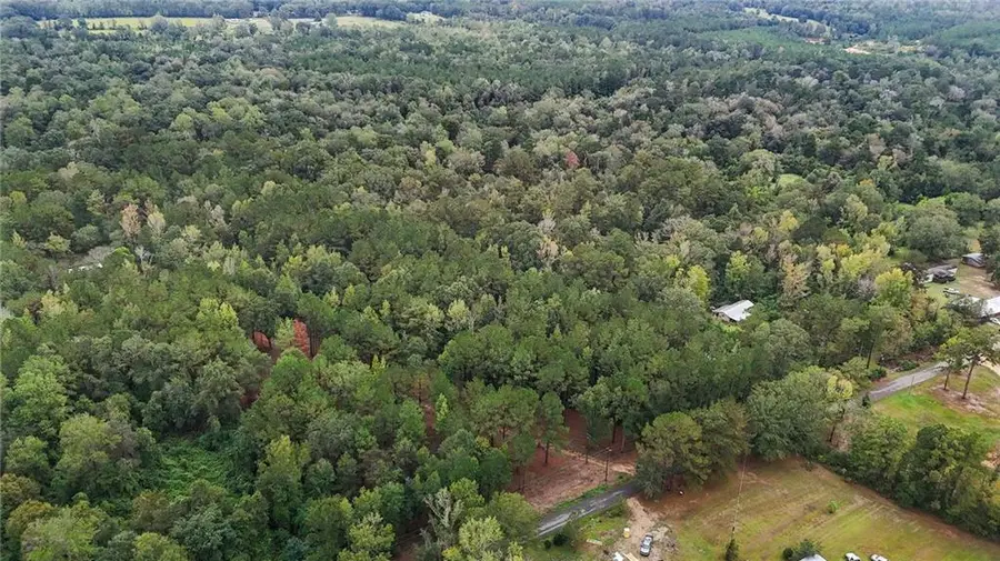 Tob Wilson Road, Franklinton, LA 70438 - #3