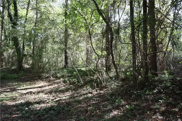 Poplar Street, Covington, LA 70433