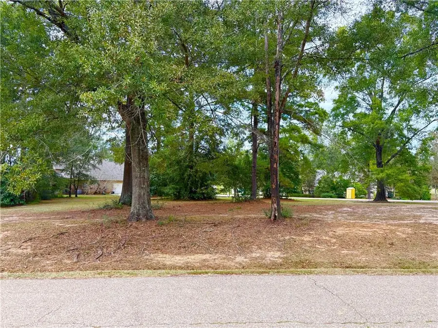 307 Chinawood Drive, Abita Springs, LA 70420 - #3
