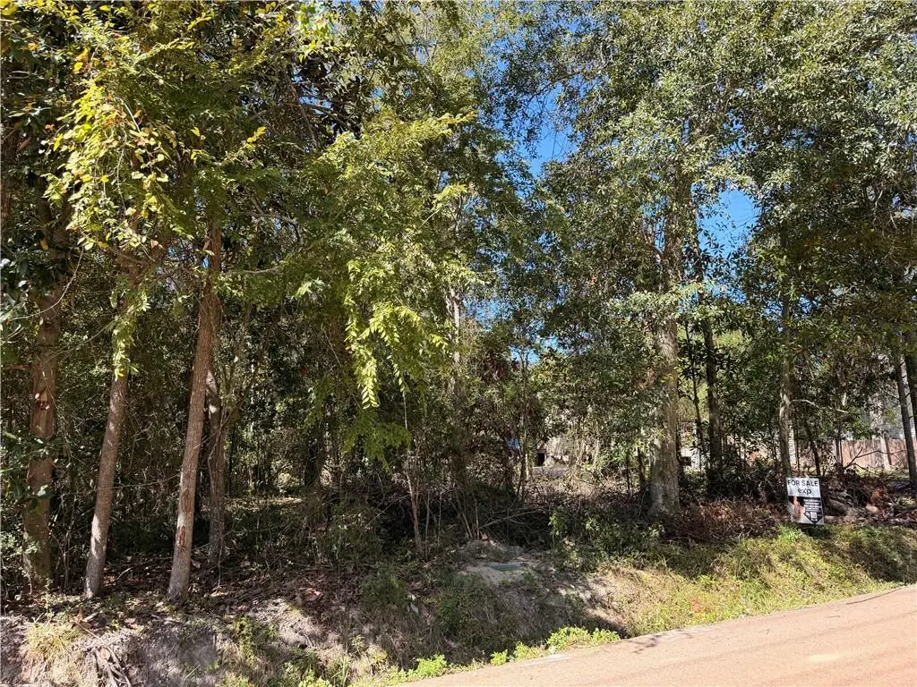 690 Lambert Street, Mandeville, LA 70448 - #1