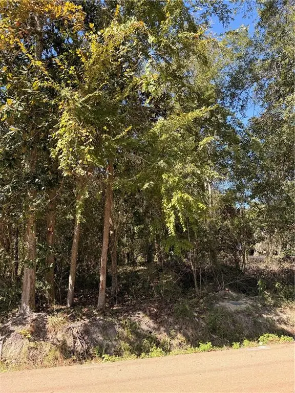 690 Lambert Street, Mandeville, LA 70448 - #2