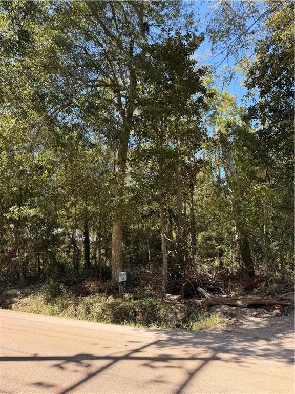 690 Lambert Street, Mandeville, LA 70448 - #3