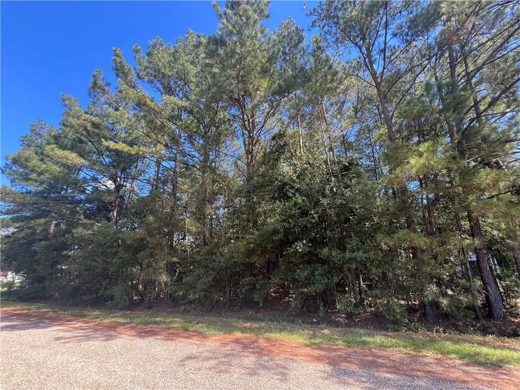 Lot 10 Caillier Road, Ponchatoula, LA 70454 - #1