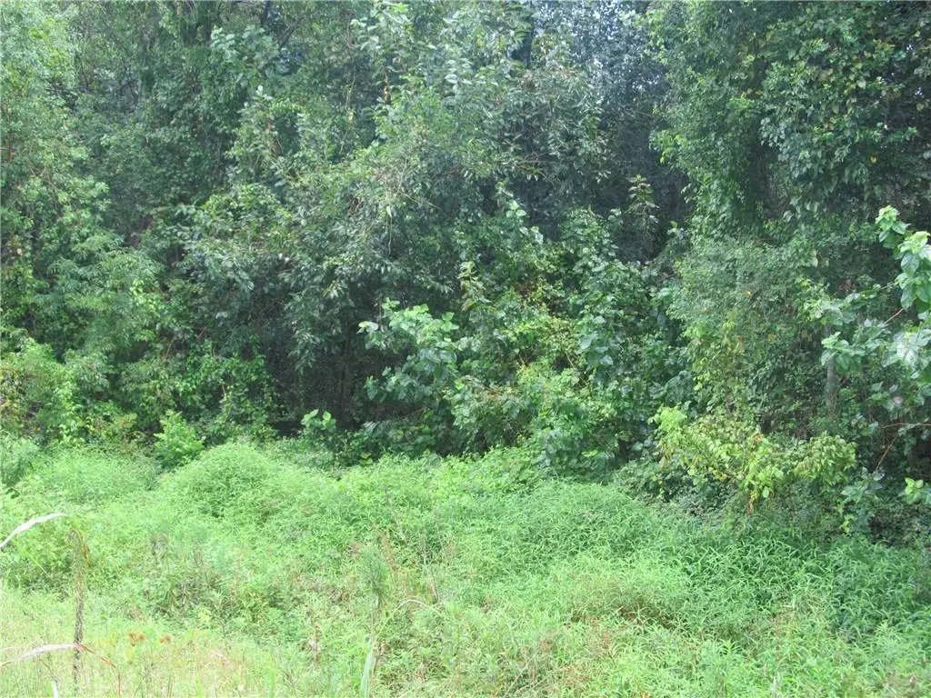 Thomas Street, New Orleans, LA 70131 - #1